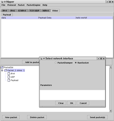 Figure 4: Network Interface selection.